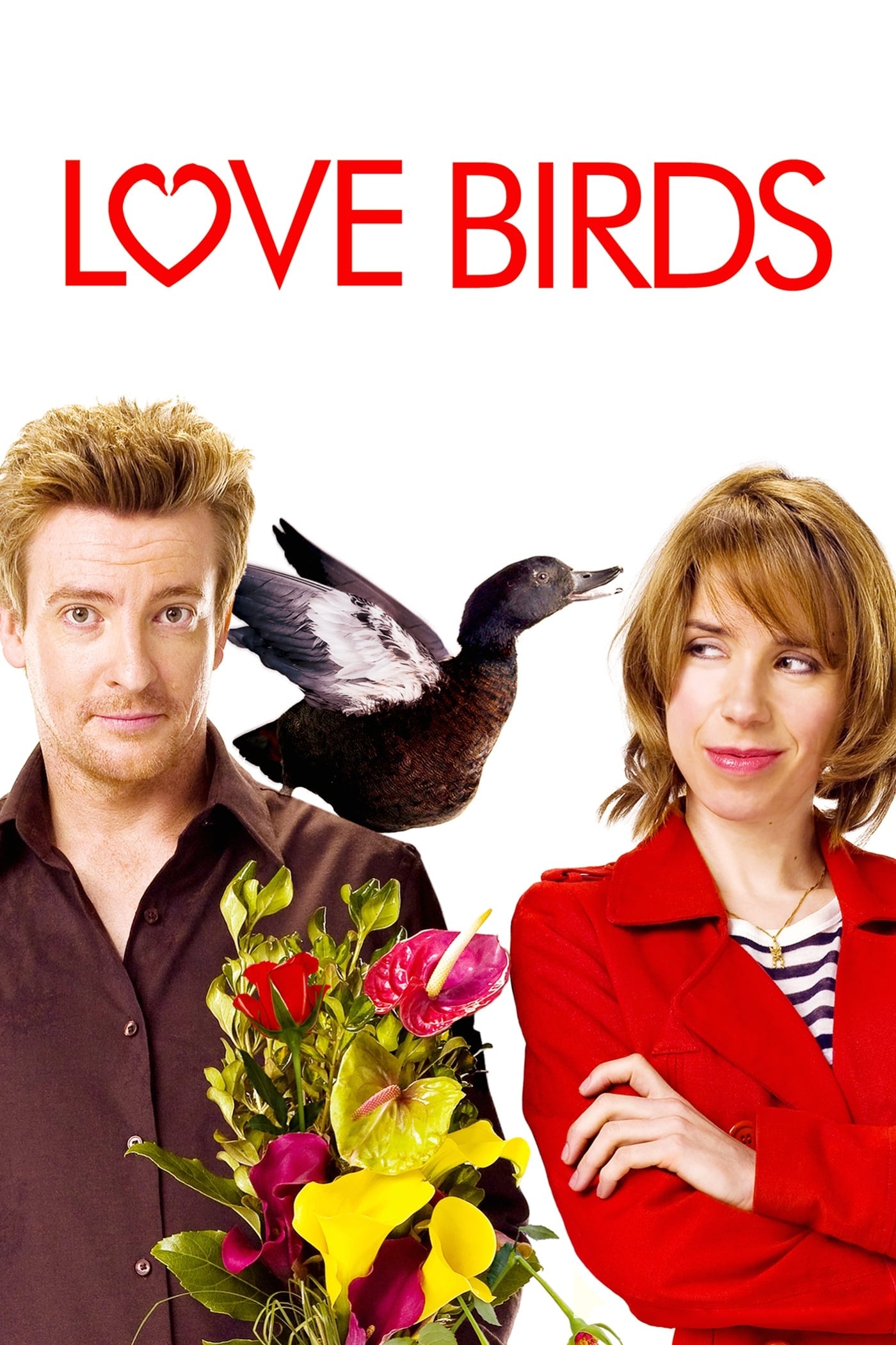 Постер Love Birds